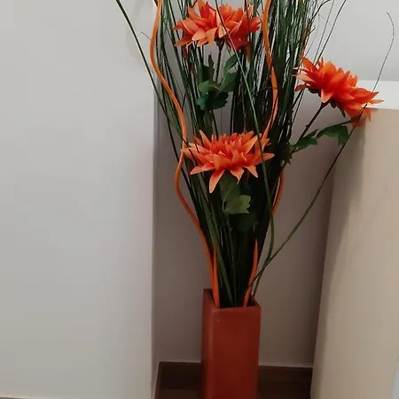 Bed & Breakfast La Casa Della Nonna SantʼArcangelo di Romagna